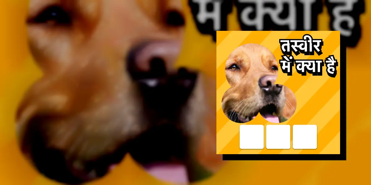 ज़ूम क्विज़: पिक्चर गेम